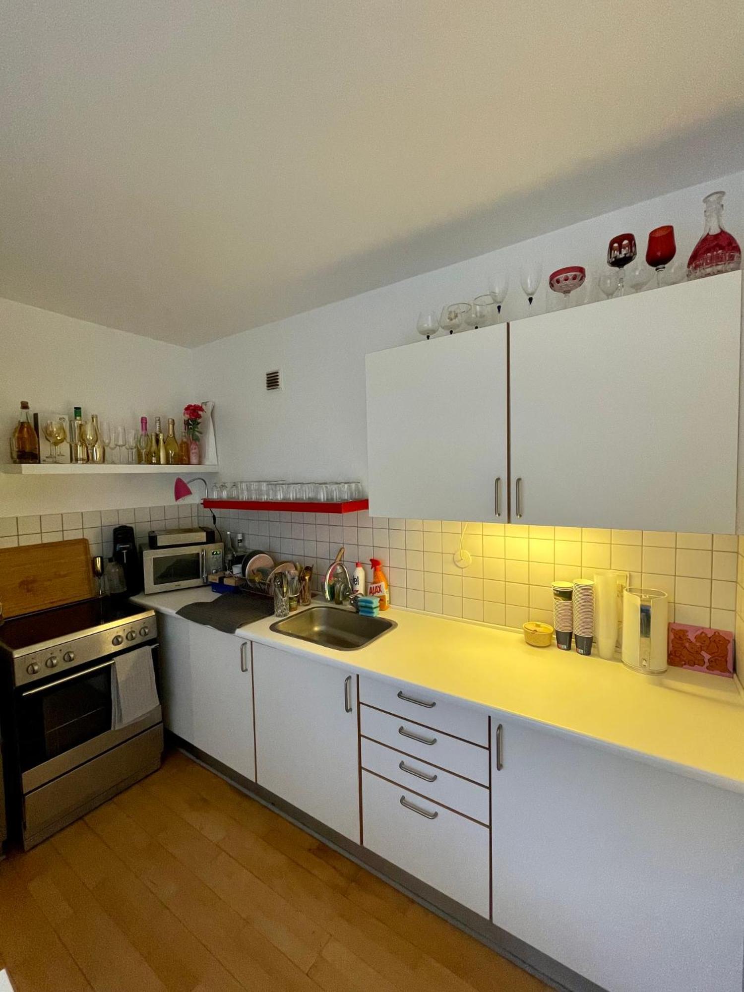 Lejlighed Med Udsigt Til Frederiksberg Have Kopenhagen Exterior foto